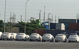 Siêu xe Ferrari, hàng chục ôtô Nissan bị 'bỏ quên' ở cảng Hải Phòng