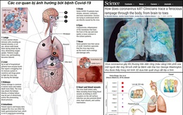 Chuyên gia cảnh báo: Những "mặt trận" Virus nCoV tấn công trên cơ thể con người