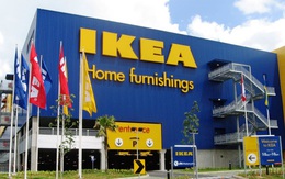 Câu chuyện khởi nghiệp của nhà sáng lập "đế chế" nội thất IKEA: Tích lũy vốn liếng kinh doanh nhờ tự đi bán diêm vào năm 5 tuổi, khai sinh IKEA khi còn ngồi ghế trung học