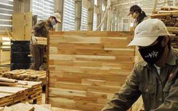 Nhiều doanh nghiệp gỗ phải rao bán nhà máy vì Covid-19