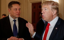 Lộ diện nhân vật 'chống lưng' cho Elon Musk, giúp ông chủ Tesla tự tin mở cửa lại nhà máy giữa đại dịch