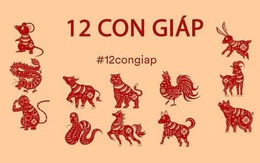 Tử vi tài lộc tháng 4 Nhuận của 12 con giáp: Thân phát tài rực rỡ nhờ quý nhân chỉ dẫn, Tỵ đếm tiền mỏi tay, Sửu bốc đồng dễ tự chuốc rắc rối