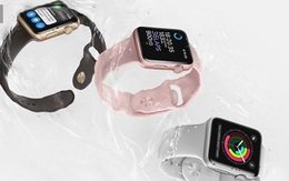 Apple Watch bất ngờ được rao bán trên thị trường với giá rẻ khó tin