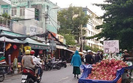 Thanh long vào chính vụ, giá cực rẻ