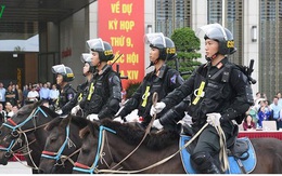 Cảnh sát cơ động kỵ binh có thể tham gia vào lễ đón nguyên thủ các nước