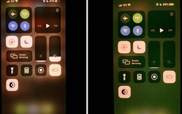 Apple thừa nhận lỗi màn hình xanh trên iPhone, sẽ thay miễn phí cho người dùng bị ảnh hưởng