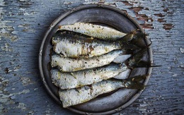 Cá là loại thực phẩm nổi tiếng ngon bổ nhưng có 5 loại cá không nên ăn vì cực nguy hiểm, có thể gây ngộ độc và cả ung thư