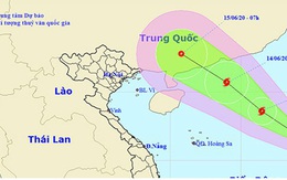 Chủ động ứng phó áp thấp nhiệt đới có khả năng mạnh lên thành bão