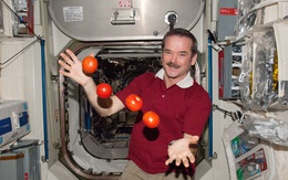 Cuộc sống khác thường của các phi hành gia trên trạm vũ trụ ISS