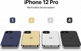 iPhone 12 Pro sẽ có màn hình 120Hz, mỏng hơn, nhưng dung lượng pin không ấn tượng