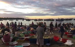 Chợ cá lúc bình minh bên đường Hoàng Sa