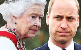 Niềm đam mê ít ai biết của Hoàng tử William: Sớm bị Nữ hoàng cấm cản vì thân phận là người kế vị tương lai