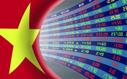 Chứng khoán Việt Nam giảm mạnh nhất thế giới trong tuần đầu tháng 10, định giá về vùng thấp nhất trong thập kỷ qua