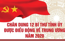 Chân dung 12 Bí thư Tỉnh ủy được điều động về Trung ương năm 2020