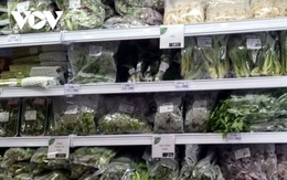 Thị trường Hà Lan: Cửa ngõ cho rau, củ, quả Việt Nam rộng cửa vào EU