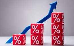 VnIndex tăng 8,88 điểm, sắc xanh lan tỏa thị trường chứng khoán