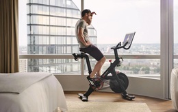 Huy động vốn từ cộng đồng với hơn 300.000 USD/tháng, startup 'hot' nhất mùa dịch tại Mỹ đã trở thành bài học cho các doanh nghiệp mới như thế nào?