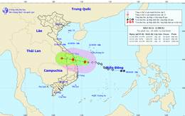 Chiều nay, bão số 6 đổ bộ vào các tỉnh Quảng Nam - Bình Định
