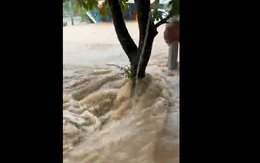 VIDEO: Lũ ống bất thường đổ về như thác, dân Quảng Nam tưởng vỡ đập thủy điện