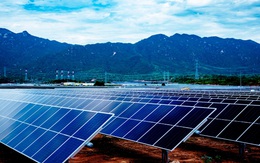 Dự án điện mặt trời lớn nhất Đông Nam Á tại Ninh Thuận "về đích"