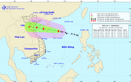 Bão số 7 giật cấp 11, cách quần đảo Hoàng Sa 170km