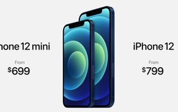 iPhone 12 và iPhone 12 mini ra mắt: Màn hình OLED, nâng cấp camera, A14 mạnh hơn 40%, hỗ trợ 5G, giá từ 699 USD