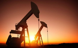 Thị trường ngày 02/10: Giá dầu, đồng giảm sâu 4%; vàng và ngô tăng khá