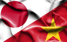 Những hiệp định, chính sách nào gắn kết kinh tế Việt Nam - Nhật Bản?