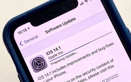 Apple phát hành iOS 14.1: Sửa hàng loạt lỗi mới