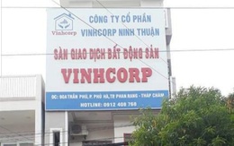 Sở Xây dựng Ninh Thuận “tuýt còi” doanh nghiệp phân lô bán nền trái phép