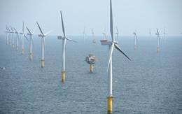 Bình Định chấp thuận cho Tập đoàn Đức PNE đầu tư dự án điện gió trên biển 1,5 tỷ USD