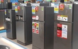 Thuộc top bán chạy nhất, tủ lạnh bình dân đời 2020, có ngăn cấp mềm giảm giá vài triệu đồng