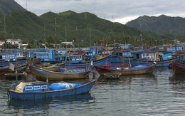 Báo Singapore: Việt Nam thực hiện rất tốt việc thúc đẩy phát triển thủy sản bền vững