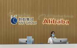 Ant Group lập kỷ lục thế giới với định giá hơn 313 tỷ USD