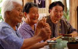 4 nguyên tắc ăn tối đặc biệt mà người Nhật áp dụng để đảm bảo không bị béo phì, tuổi thọ luôn trong top 1 thế giới