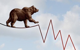 Thị trường giảm sâu, nhiều Công ty chứng khoán dự báo VN-Index hồi phục tại vùng 900 điểm
