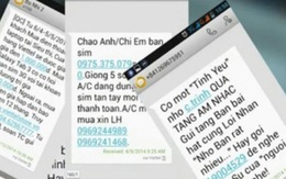 Hà Nội xử phạt 2 trường hợp gọi điện, nhắn tin rác để quảng cáo