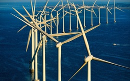 Vì sao nhiều 'đại gia' điện gió phải giảm 70-80% công suất?