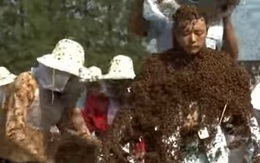 Kỷ lục Guinness đăng video siêu dị về "người ong" đạt hơn 5 triệu lượt xem sau vài giờ, dân mạng xem xong cũng gai hết cả người