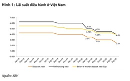 Tiền rẻ ngập thị trường