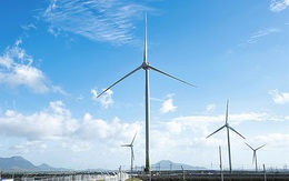 Phú Yên cho phép đầu tư dự án điện gió xanh hơn 1.700 tỷ đồng