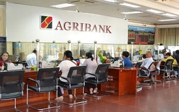 Agribank rao bán 123 tấn thuốc bảo vệ thực vật để thu nợ