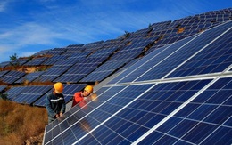60% tổng công suất điện mặt trời mái nhà của EVN đến từ khu vực phía nam