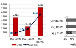 TP.HCM: Phía sau con số giao dịch tăng mạnh giữa mùa COVID-19