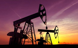 Giá dầu vọt lên cao nhất 2 tháng