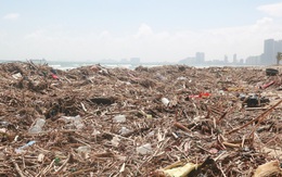 Kinh hãi với những núi rác khổng lồ trên bãi biển Đà Nẵng sau bão