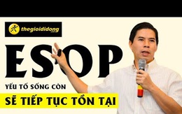ESOP: Công cụ tài chính được TGDĐ và FPT cực kỳ ưa chuộng, dưới góc nhìn cổ đông, thuế và kế toán Việt Nam