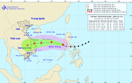 Bão số 10 giật cấp 12, hướng vào khu vực Đà Nẵng - Phú Yên