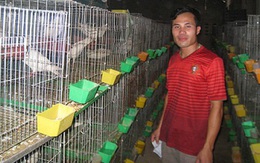 Du học về Việt Nam nhưng lương quá thấp, chàng trai nghỉ việc đi nuôi chim, doanh thu 15 tỷ/năm