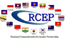 Những ngành nào sẽ là thế mạnh của Việt Nam trong Hiệp định RCEP?